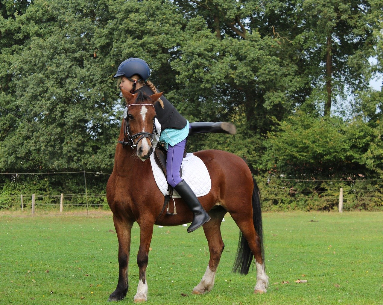 horsewoman-1781972_1280