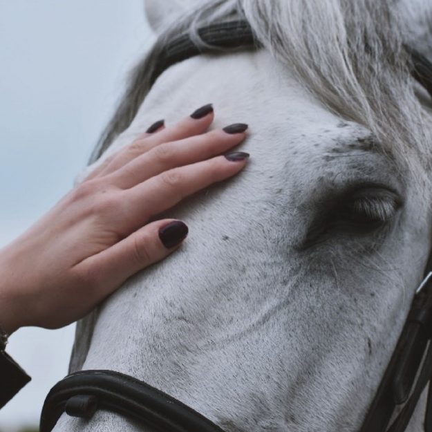 stellberg_luento_2021